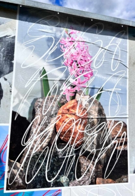 Graphic designer Aleksandar Todorovic