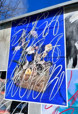 Graphic designer Aleksandar Todorovic