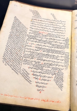 Graphic designer Aleksandar Todorovic