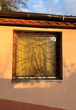 Graphic designer Aleksandar Todorovic