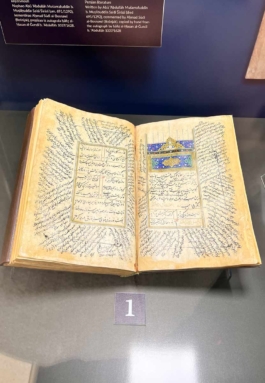 Graphic designer Aleksandar Todorovic